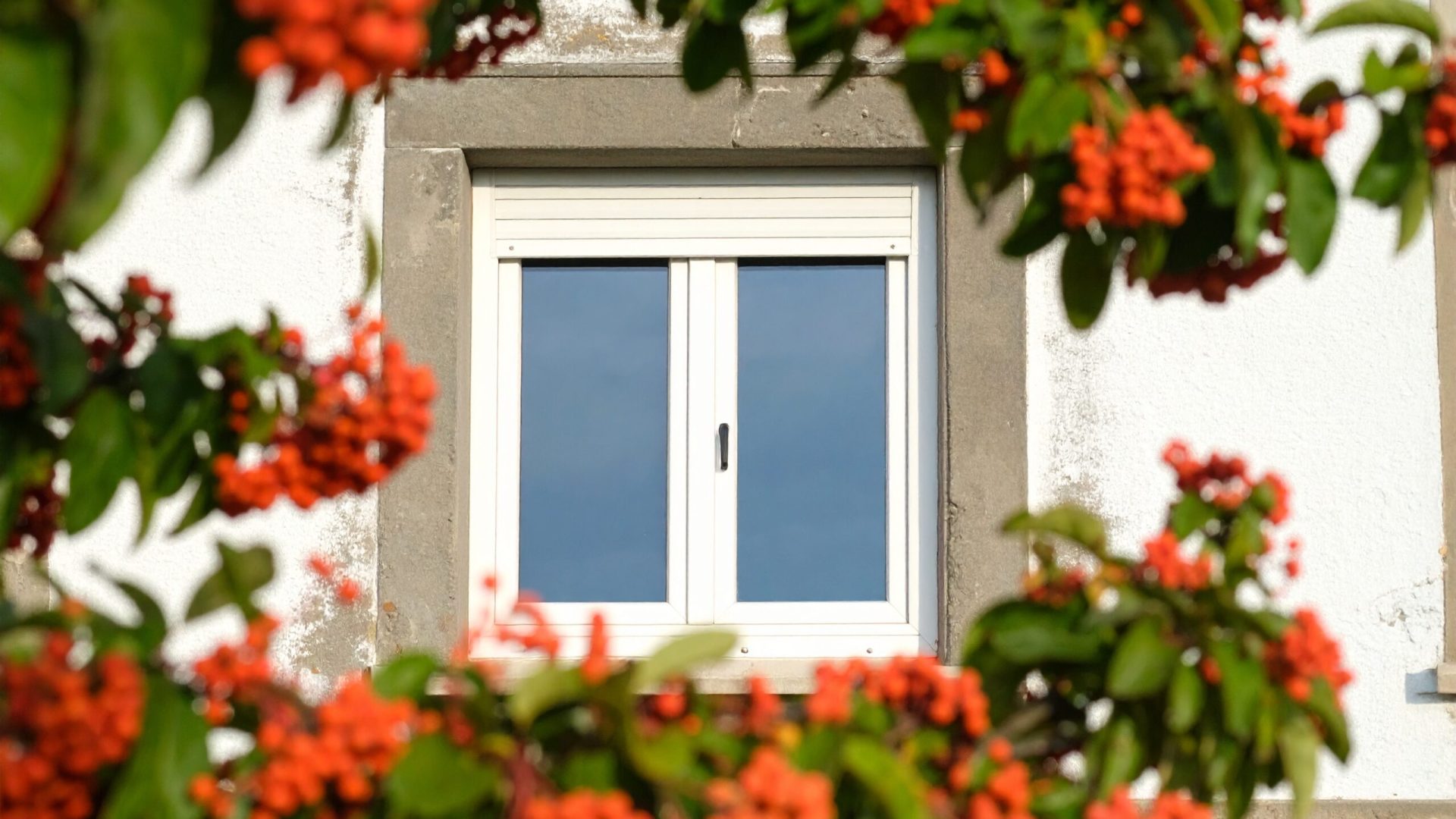 Firefly_Ultra-realistic photo of the exterior of a real residential house with a window equip 939628